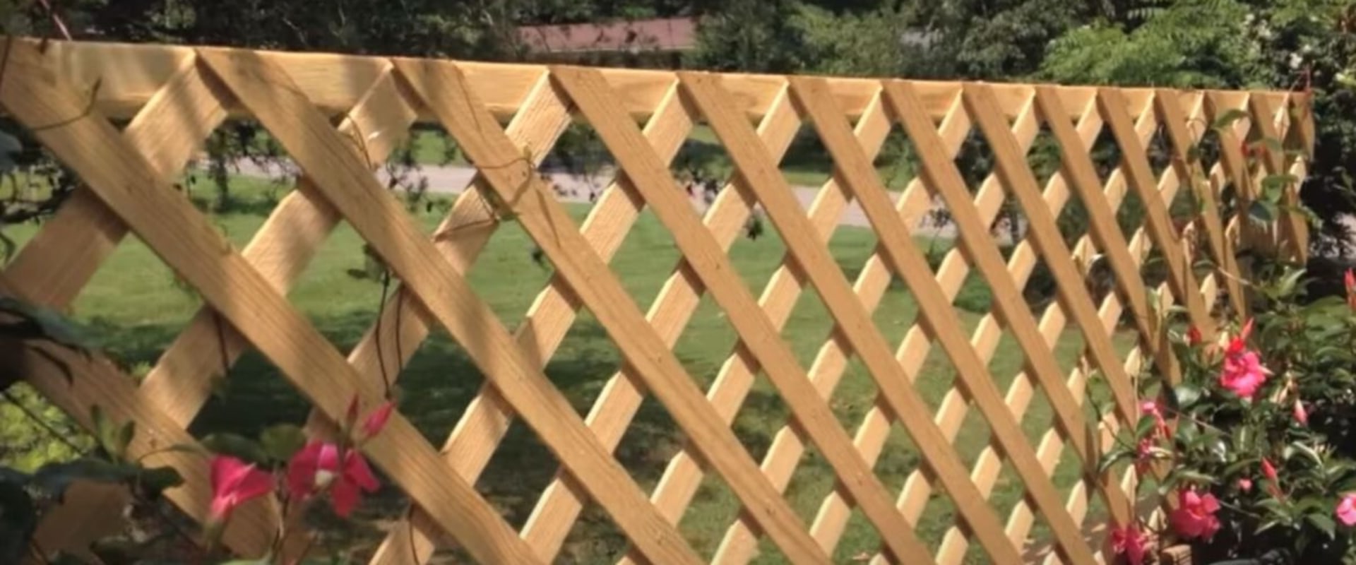 Understanding the Legalities of Fence Sharing in New Zealand
