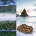 What are the 7 types of landscapes?