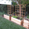 What should you do first in a garden?