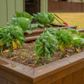 How early can you garden?