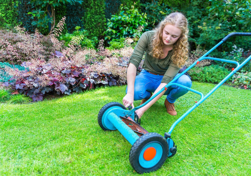 What is a lawn care specialist?